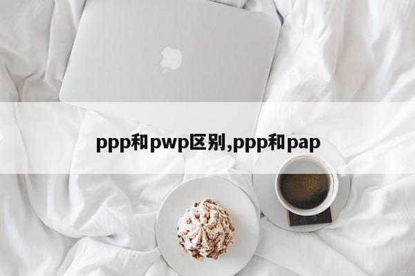 ppp和pwp区别,ppp和pap