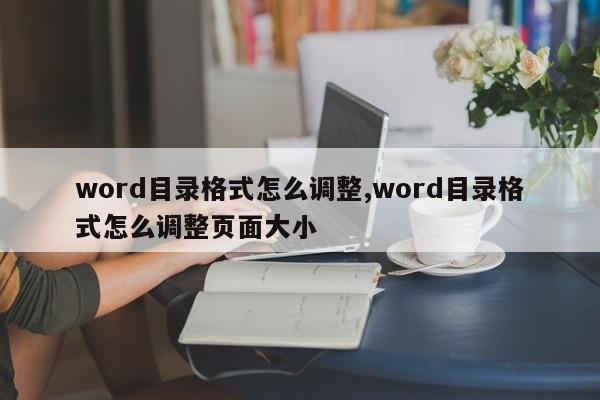 word目录格式怎么调整,word目录格式怎么调整页面大小